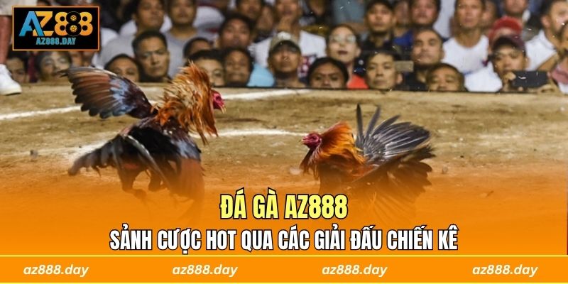 Đá Gà AZ888 - Sảnh Cược Hot Qua Các Giải Đấu Chiến Kê