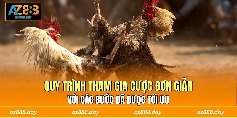 Quy trình tham gia cược đơn giản với các bước đã được tối ưu 