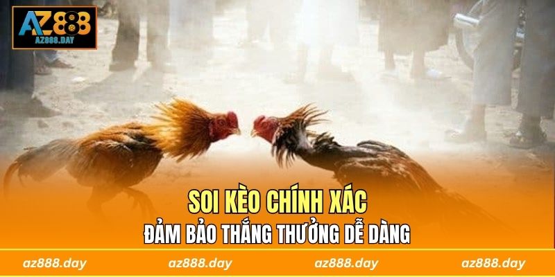 Soi kèo chính xác đảm bảo thắng thưởng dễ dàng 
